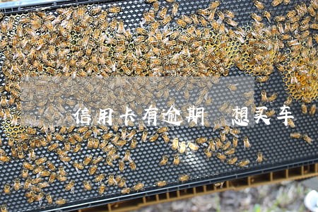 信用卡有逾期 想买车